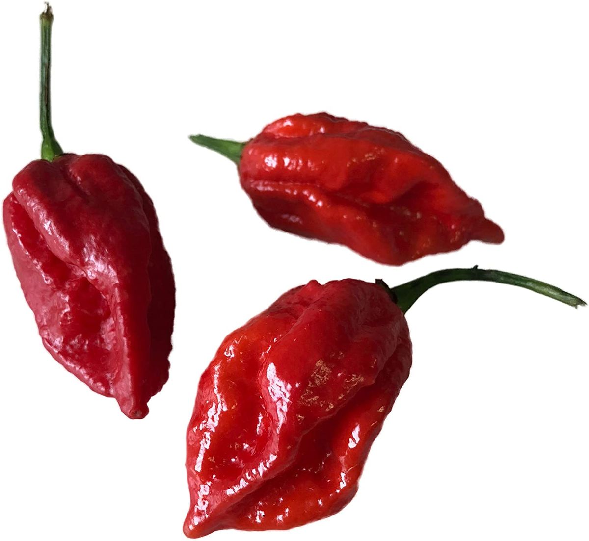 World's Hottest Chilli Peppers